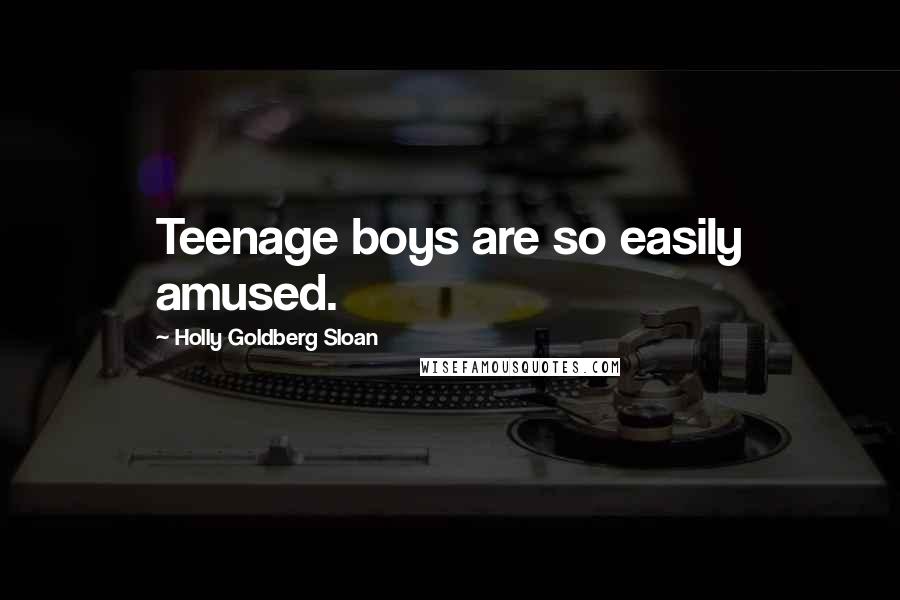 Holly Goldberg Sloan Quotes: Teenage boys are so easily amused.