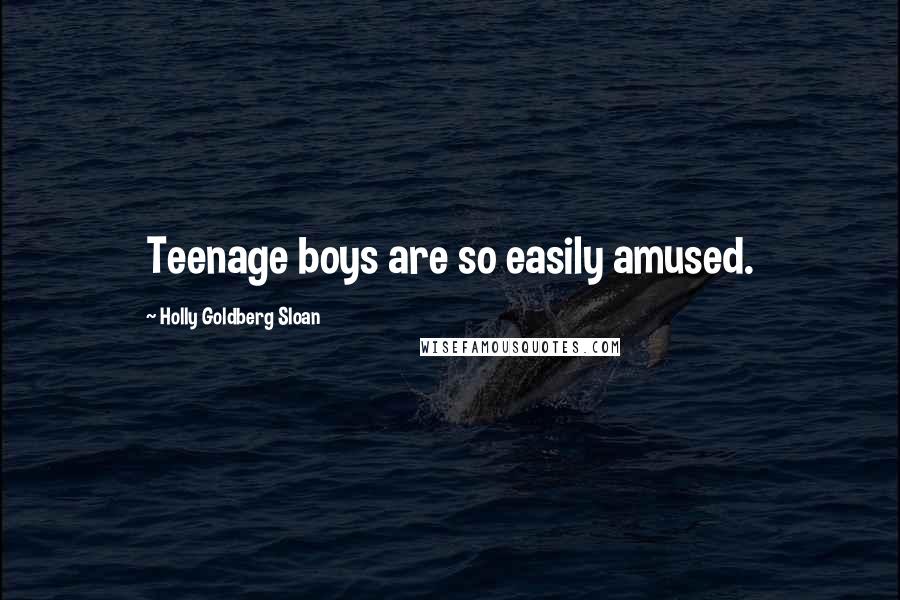 Holly Goldberg Sloan Quotes: Teenage boys are so easily amused.