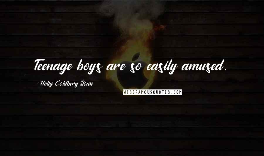 Holly Goldberg Sloan Quotes: Teenage boys are so easily amused.