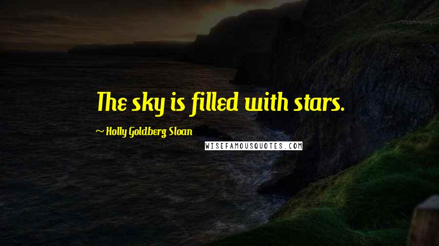 Holly Goldberg Sloan Quotes: The sky is filled with stars.