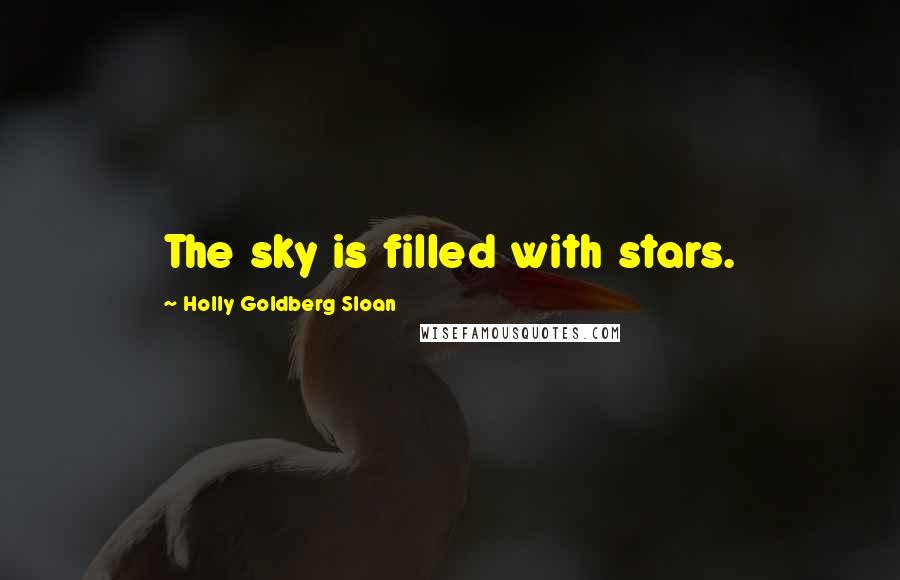 Holly Goldberg Sloan Quotes: The sky is filled with stars.