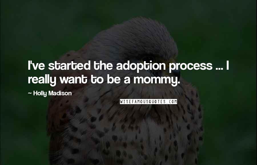 Holly Madison Quotes: I've started the adoption process ... I really want to be a mommy.