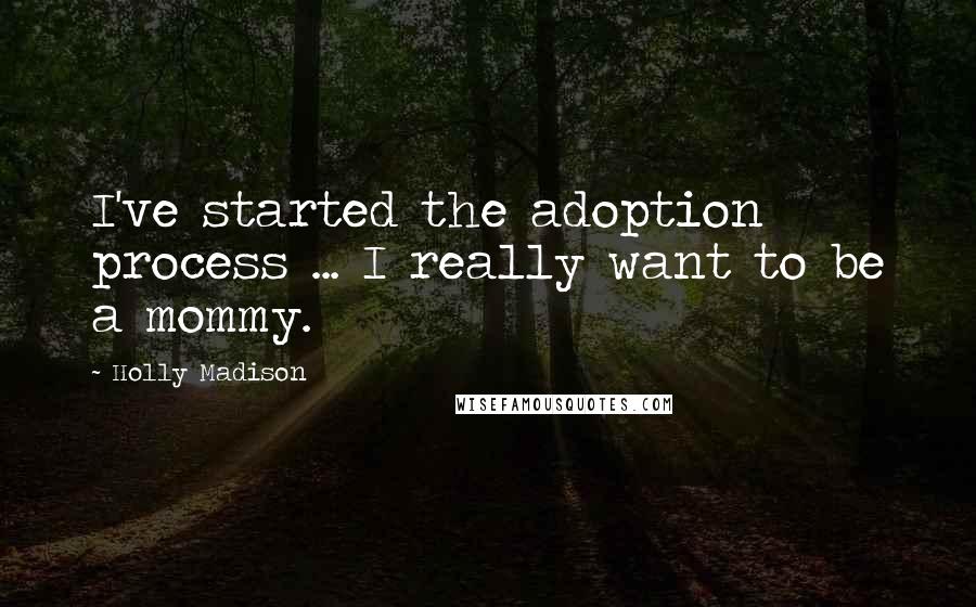 Holly Madison Quotes: I've started the adoption process ... I really want to be a mommy.