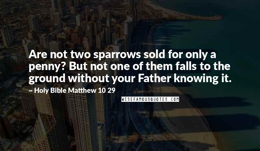 Holy Bible Matthew 10 29 Quotes: Are not two sparrows sold for only a penny? But not one of them falls to the ground without your Father knowing it.