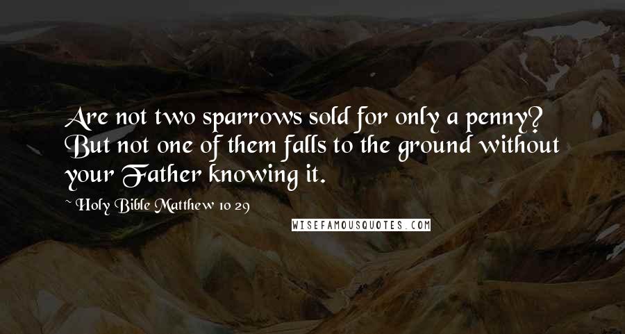 Holy Bible Matthew 10 29 Quotes: Are not two sparrows sold for only a penny? But not one of them falls to the ground without your Father knowing it.