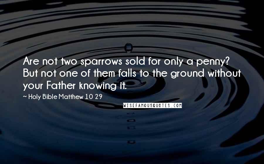 Holy Bible Matthew 10 29 Quotes: Are not two sparrows sold for only a penny? But not one of them falls to the ground without your Father knowing it.