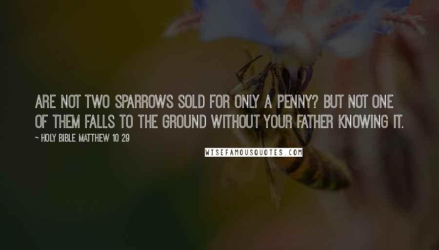 Holy Bible Matthew 10 29 Quotes: Are not two sparrows sold for only a penny? But not one of them falls to the ground without your Father knowing it.