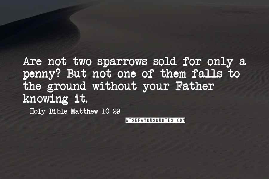 Holy Bible Matthew 10 29 Quotes: Are not two sparrows sold for only a penny? But not one of them falls to the ground without your Father knowing it.