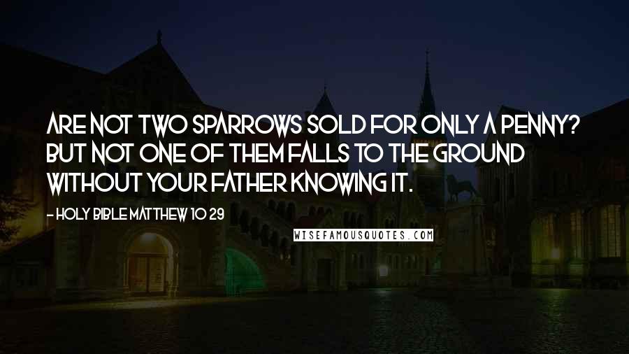 Holy Bible Matthew 10 29 Quotes: Are not two sparrows sold for only a penny? But not one of them falls to the ground without your Father knowing it.