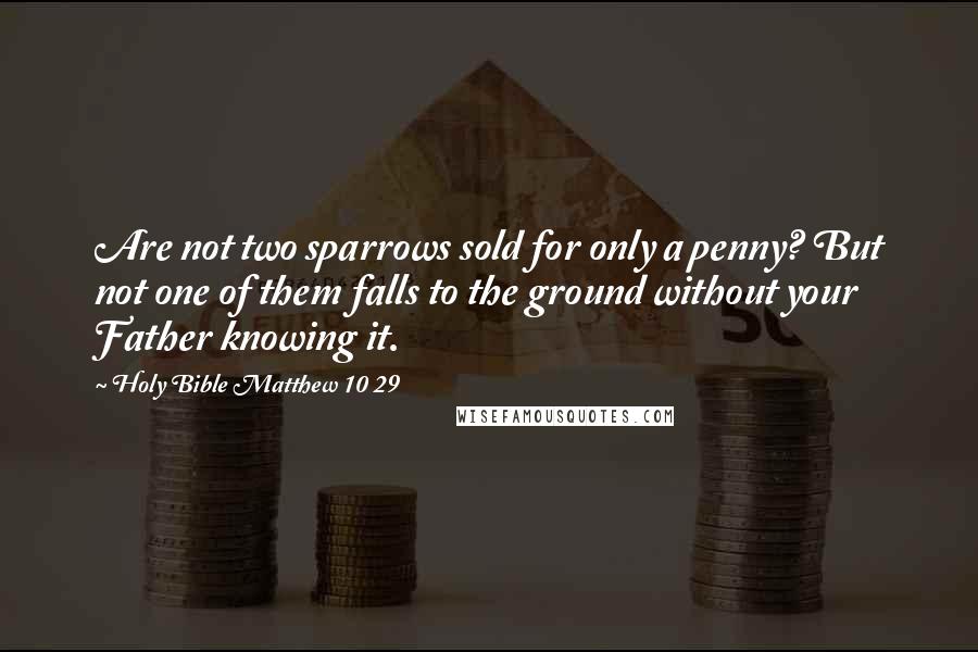 Holy Bible Matthew 10 29 Quotes: Are not two sparrows sold for only a penny? But not one of them falls to the ground without your Father knowing it.