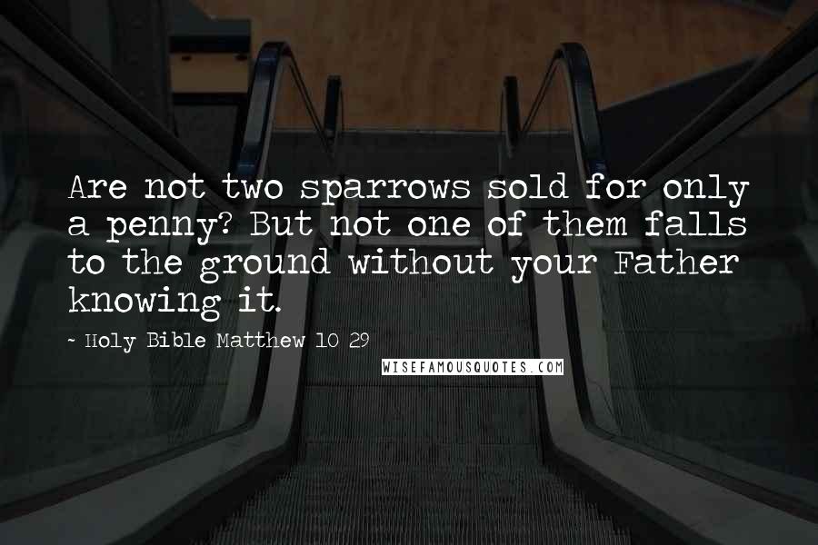 Holy Bible Matthew 10 29 Quotes: Are not two sparrows sold for only a penny? But not one of them falls to the ground without your Father knowing it.