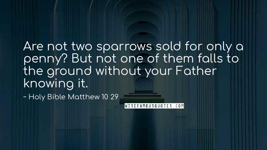 Holy Bible Matthew 10 29 Quotes: Are not two sparrows sold for only a penny? But not one of them falls to the ground without your Father knowing it.