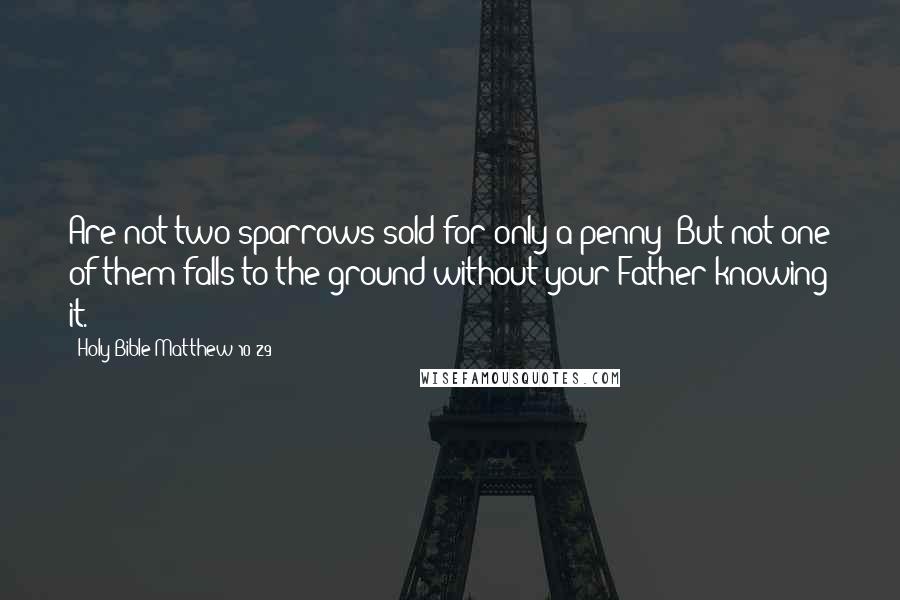 Holy Bible Matthew 10 29 Quotes: Are not two sparrows sold for only a penny? But not one of them falls to the ground without your Father knowing it.