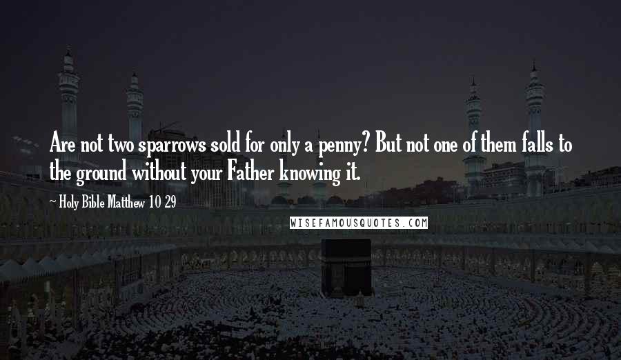 Holy Bible Matthew 10 29 Quotes: Are not two sparrows sold for only a penny? But not one of them falls to the ground without your Father knowing it.