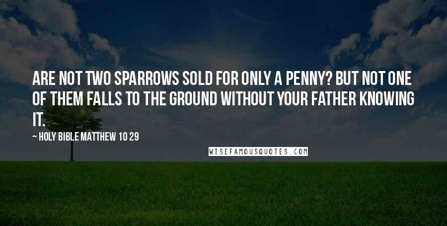 Holy Bible Matthew 10 29 Quotes: Are not two sparrows sold for only a penny? But not one of them falls to the ground without your Father knowing it.