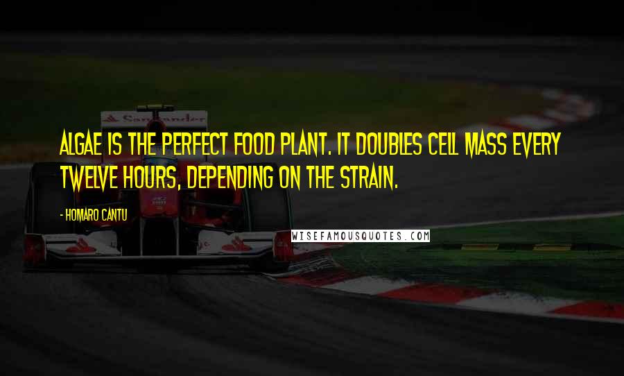 Homaro Cantu Quotes: Algae is the perfect food plant. It doubles cell mass every twelve hours, depending on the strain.