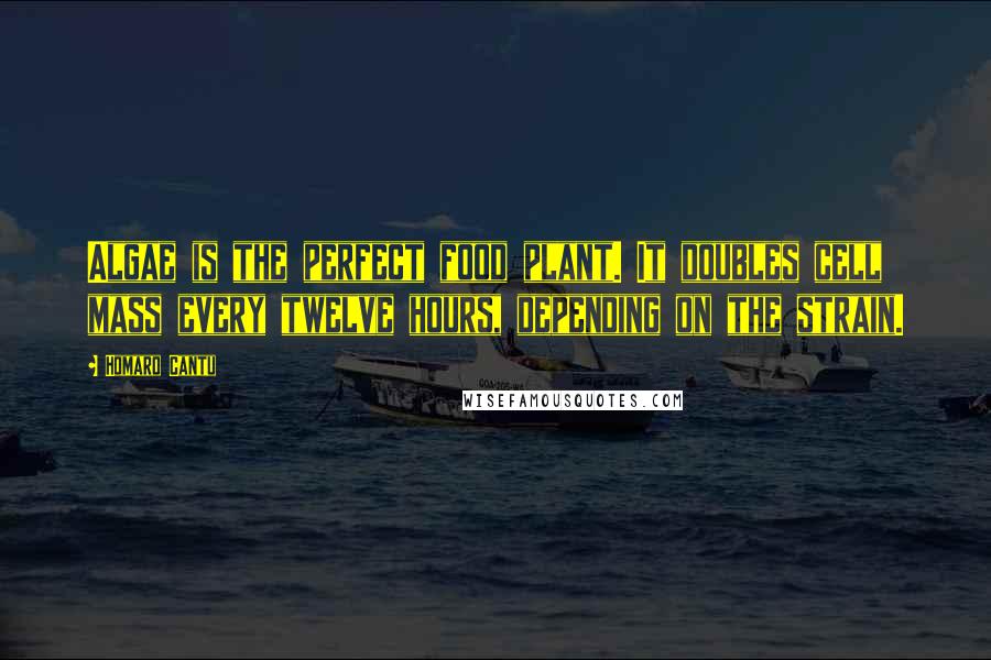 Homaro Cantu Quotes: Algae is the perfect food plant. It doubles cell mass every twelve hours, depending on the strain.