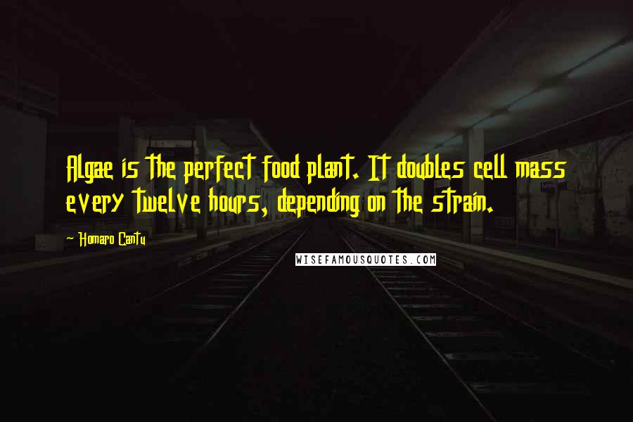 Homaro Cantu Quotes: Algae is the perfect food plant. It doubles cell mass every twelve hours, depending on the strain.