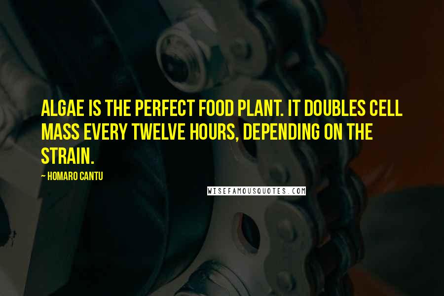 Homaro Cantu Quotes: Algae is the perfect food plant. It doubles cell mass every twelve hours, depending on the strain.