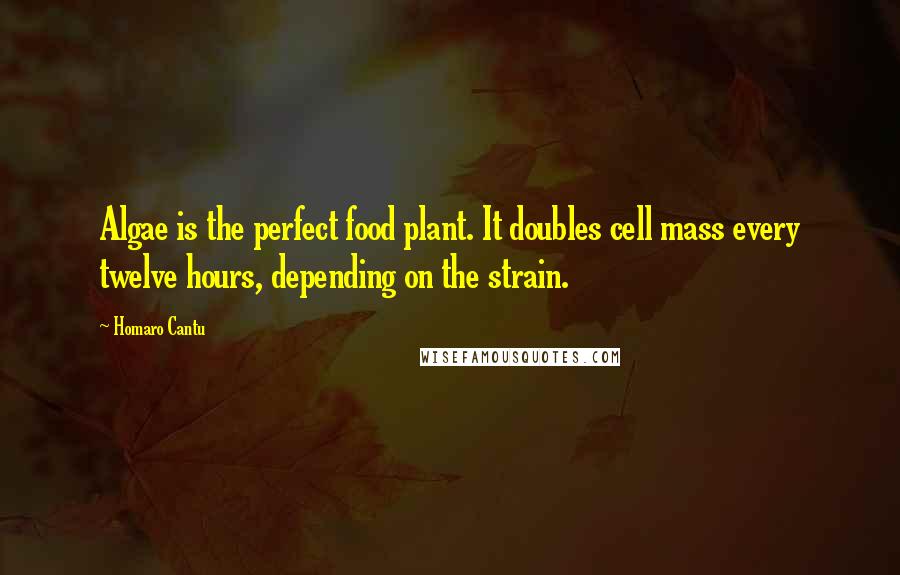 Homaro Cantu Quotes: Algae is the perfect food plant. It doubles cell mass every twelve hours, depending on the strain.