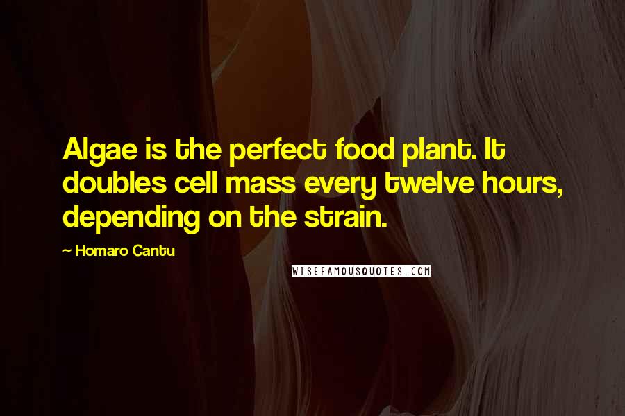 Homaro Cantu Quotes: Algae is the perfect food plant. It doubles cell mass every twelve hours, depending on the strain.