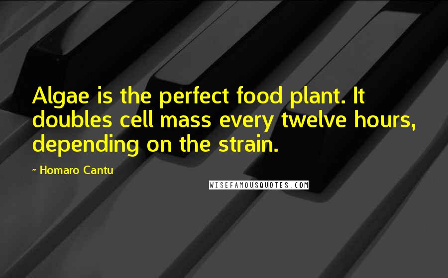 Homaro Cantu Quotes: Algae is the perfect food plant. It doubles cell mass every twelve hours, depending on the strain.