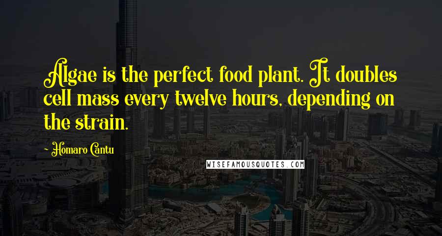 Homaro Cantu Quotes: Algae is the perfect food plant. It doubles cell mass every twelve hours, depending on the strain.