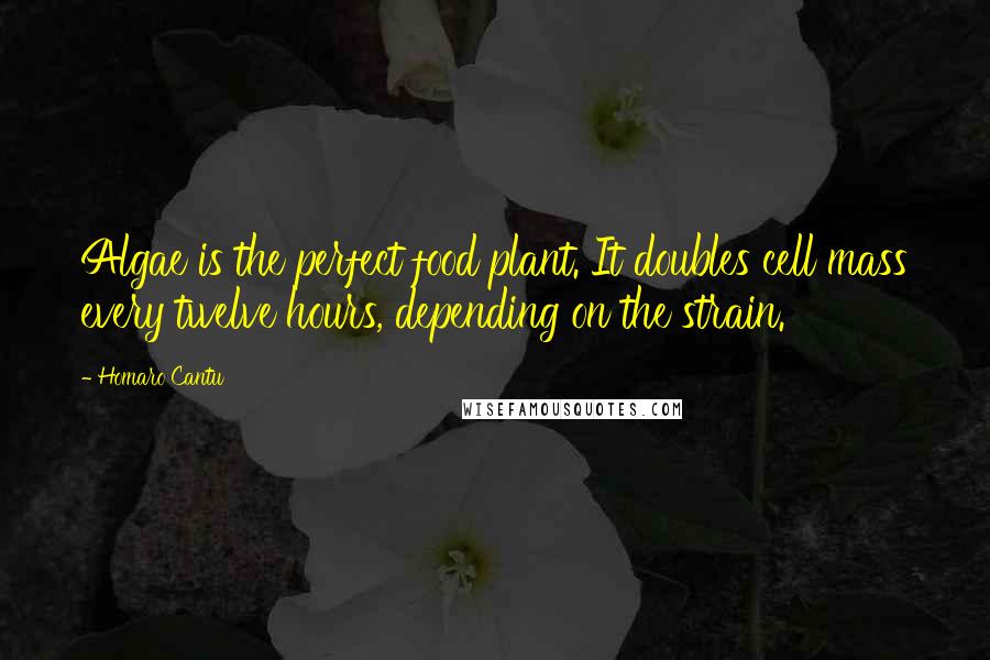 Homaro Cantu Quotes: Algae is the perfect food plant. It doubles cell mass every twelve hours, depending on the strain.