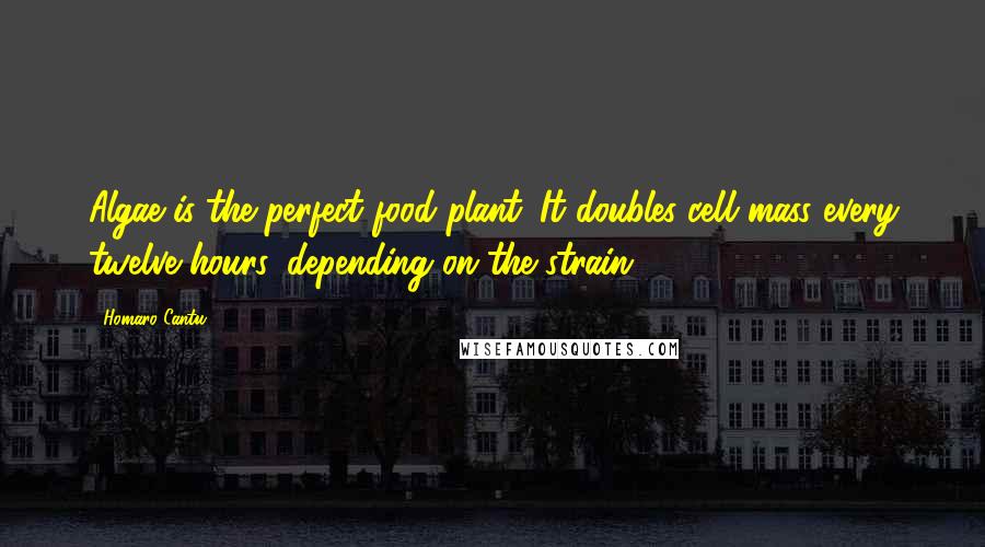 Homaro Cantu Quotes: Algae is the perfect food plant. It doubles cell mass every twelve hours, depending on the strain.