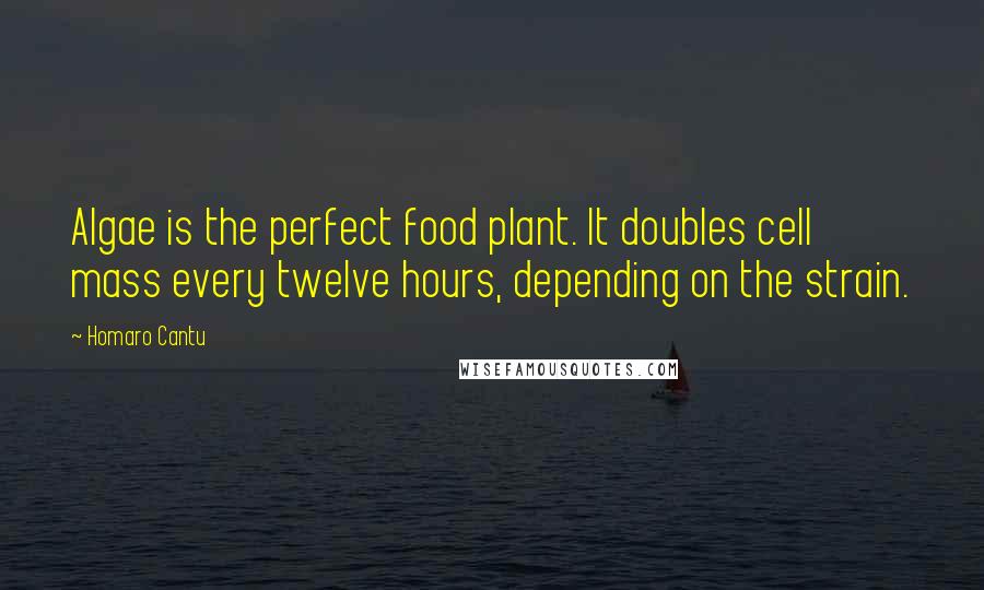 Homaro Cantu Quotes: Algae is the perfect food plant. It doubles cell mass every twelve hours, depending on the strain.
