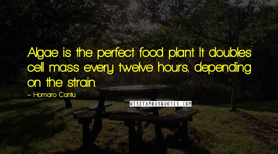 Homaro Cantu Quotes: Algae is the perfect food plant. It doubles cell mass every twelve hours, depending on the strain.