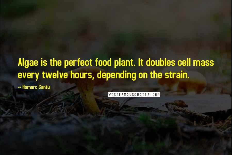 Homaro Cantu Quotes: Algae is the perfect food plant. It doubles cell mass every twelve hours, depending on the strain.