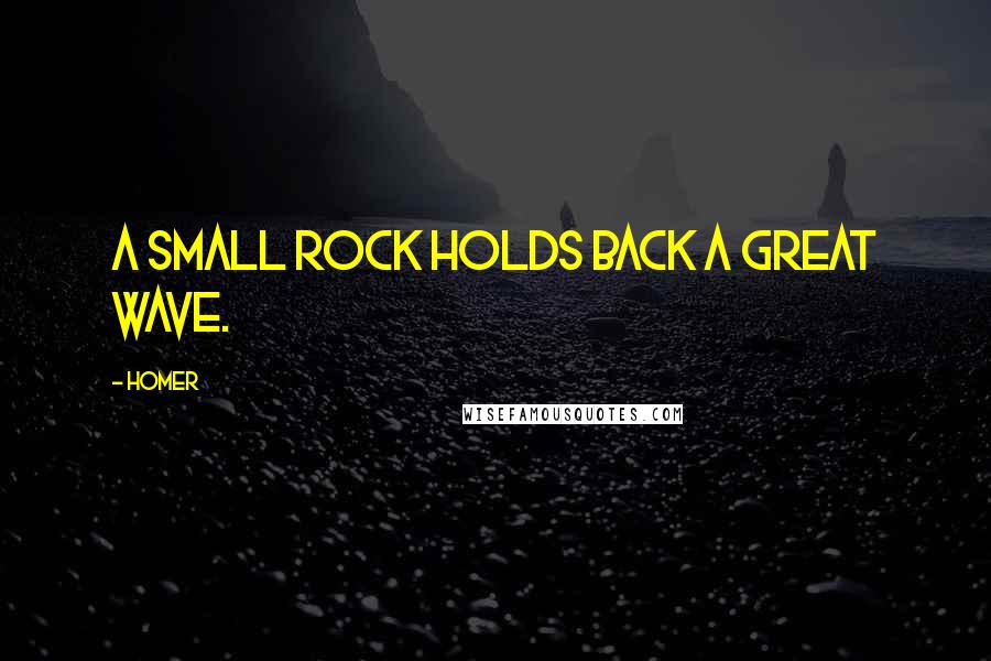 Homer Quotes: A small rock holds back a great wave.