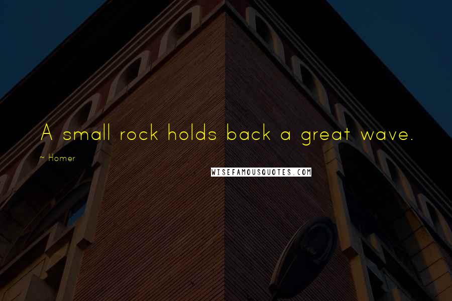 Homer Quotes: A small rock holds back a great wave.