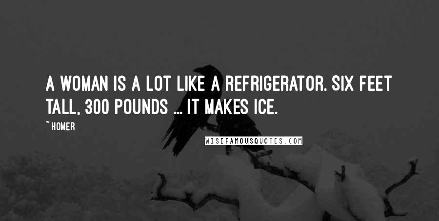 Homer Quotes: A woman is a lot like a refrigerator. Six feet tall, 300 pounds ... it makes ice.