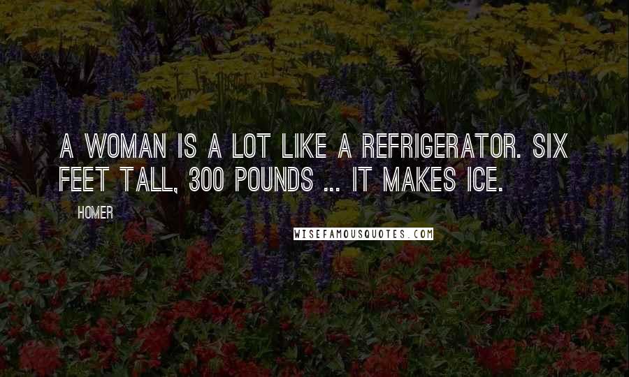 Homer Quotes: A woman is a lot like a refrigerator. Six feet tall, 300 pounds ... it makes ice.