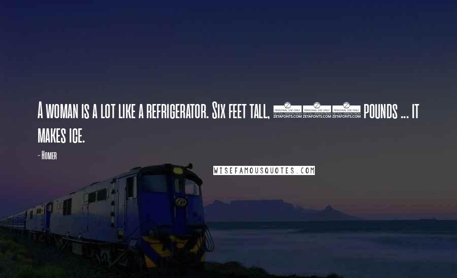 Homer Quotes: A woman is a lot like a refrigerator. Six feet tall, 300 pounds ... it makes ice.