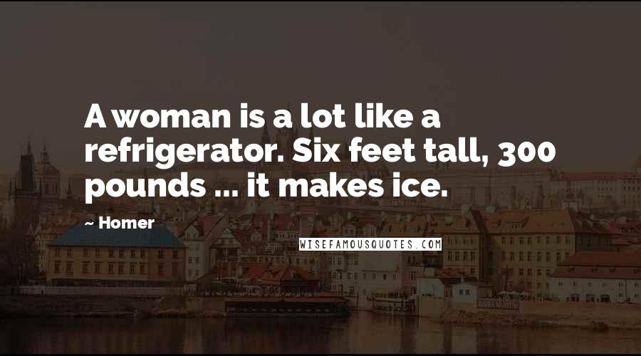 Homer Quotes: A woman is a lot like a refrigerator. Six feet tall, 300 pounds ... it makes ice.