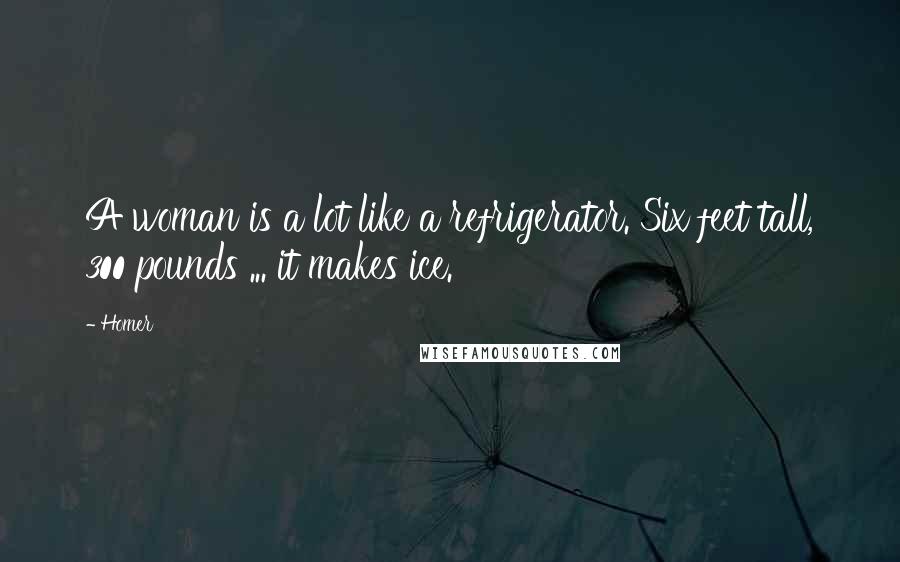 Homer Quotes: A woman is a lot like a refrigerator. Six feet tall, 300 pounds ... it makes ice.