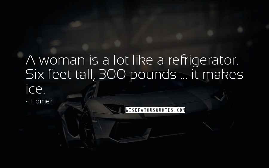 Homer Quotes: A woman is a lot like a refrigerator. Six feet tall, 300 pounds ... it makes ice.