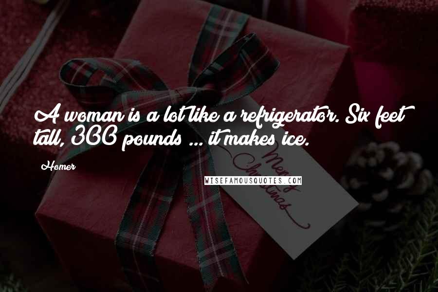 Homer Quotes: A woman is a lot like a refrigerator. Six feet tall, 300 pounds ... it makes ice.