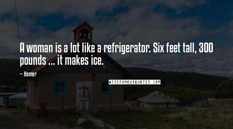 Homer Quotes: A woman is a lot like a refrigerator. Six feet tall, 300 pounds ... it makes ice.