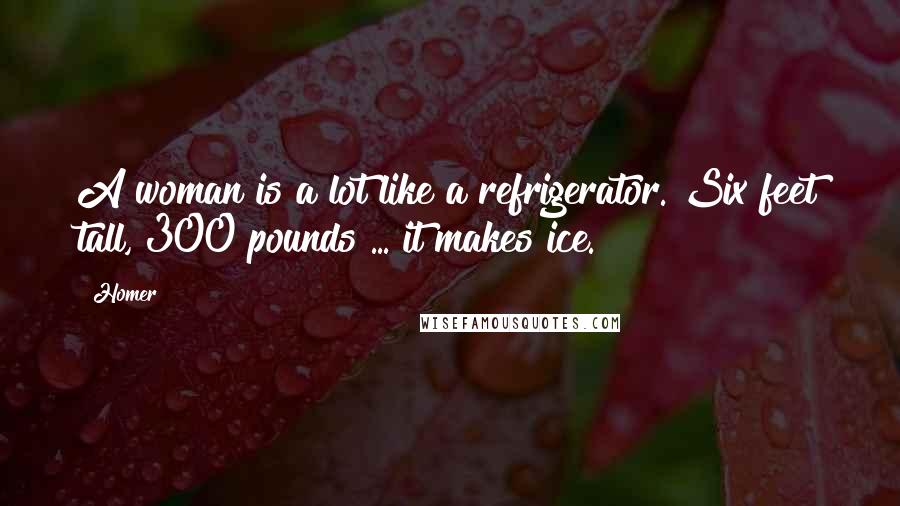 Homer Quotes: A woman is a lot like a refrigerator. Six feet tall, 300 pounds ... it makes ice.