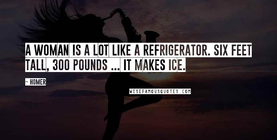 Homer Quotes: A woman is a lot like a refrigerator. Six feet tall, 300 pounds ... it makes ice.