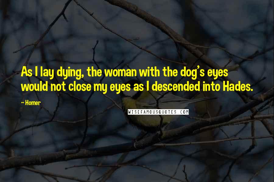 Homer Quotes: As I lay dying, the woman with the dog's eyes would not close my eyes as I descended into Hades.