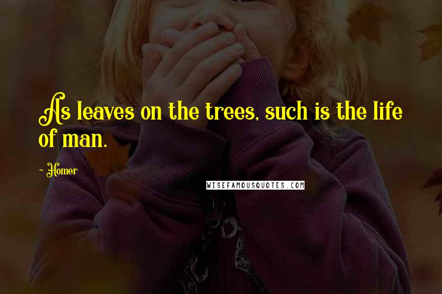Homer Quotes: As leaves on the trees, such is the life of man.