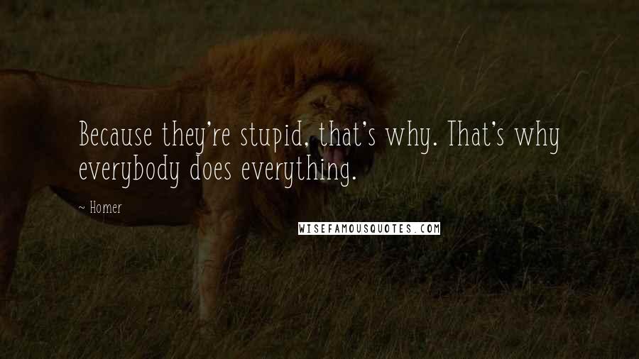 Homer Quotes: Because they're stupid, that's why. That's why everybody does everything.