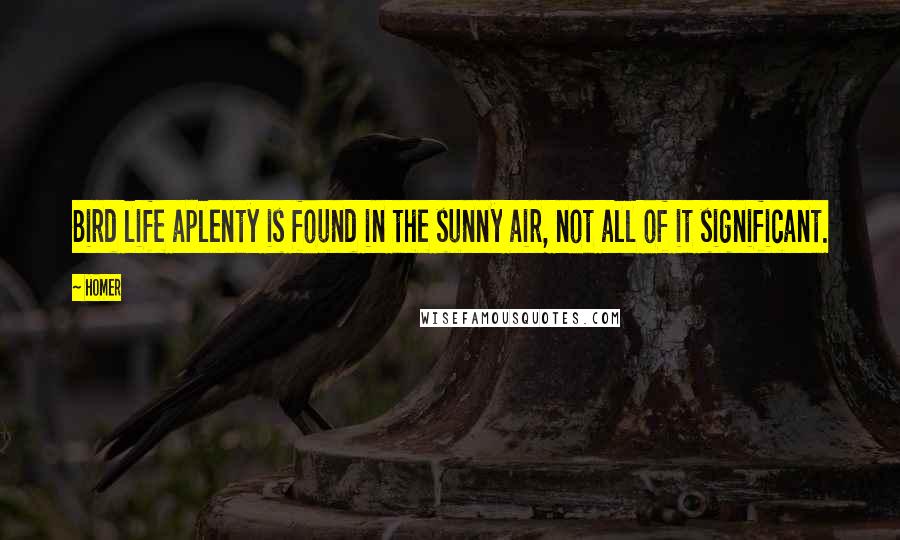 Homer Quotes: Bird life aplenty is found in the sunny air, not all of it significant.