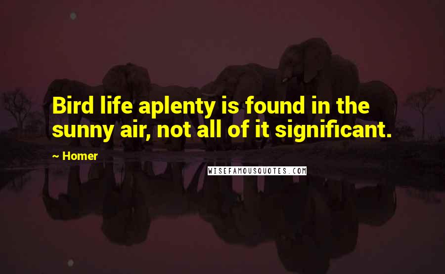 Homer Quotes: Bird life aplenty is found in the sunny air, not all of it significant.