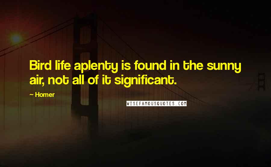 Homer Quotes: Bird life aplenty is found in the sunny air, not all of it significant.